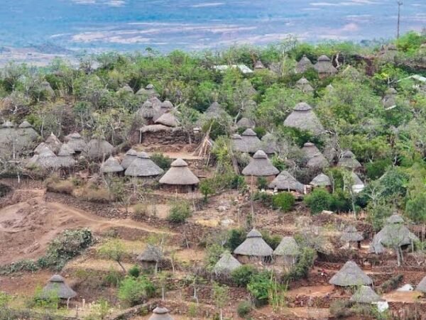 3-Day Tour of Unveiling the Historic City of Harar